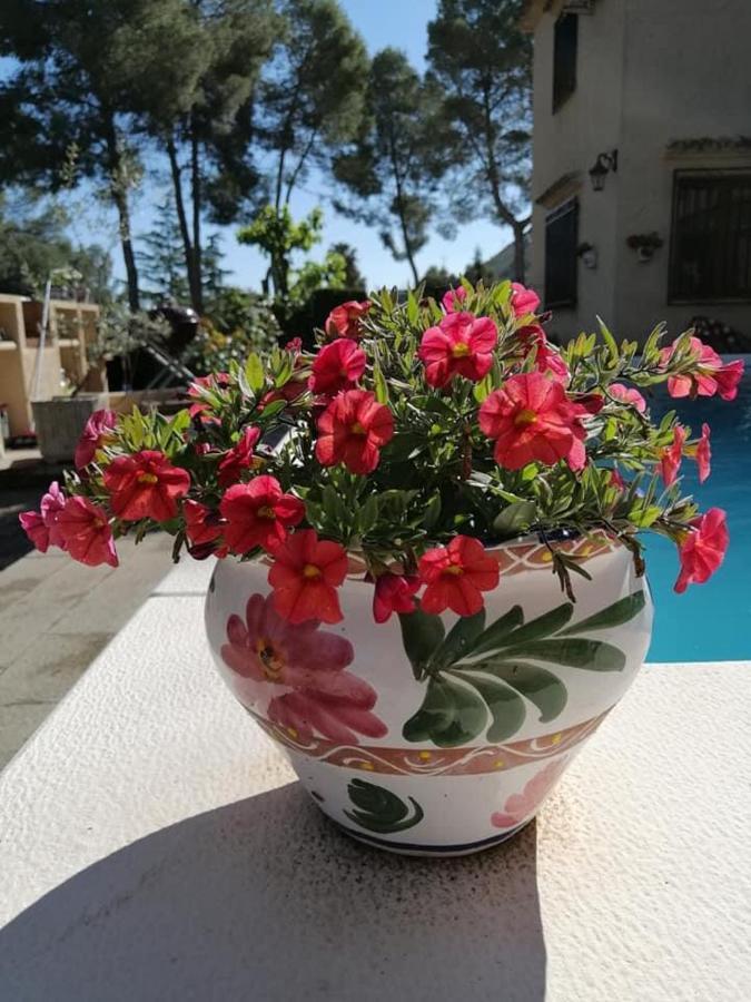 Casa Jetizo Bed & Breakfast Ontinyent Exterior photo